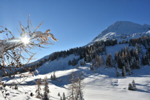 Paesaggio malga Castrin