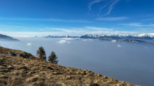Scopri di più sull'articolo Inverno sul monte Bondone