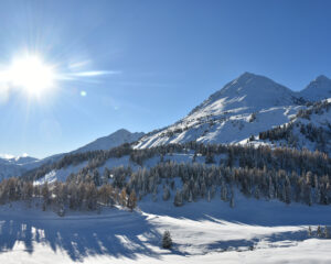 paesaggio innevato